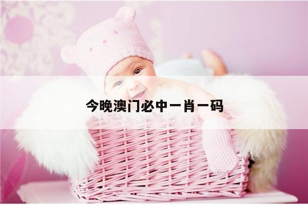 新闻中心 第17页