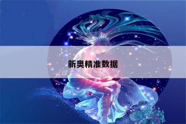 新奥精准数据/新奥系统