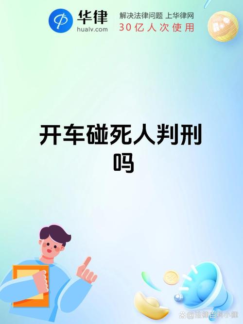 2025年正版资料免费大全最新版本下载安装:干部驾车致男童死亡