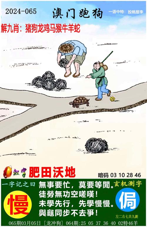 澳彩精准免费资料大全:保护区里的疯狂垂钓