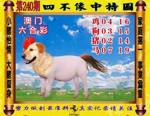 49tkcom澳彩资料图库正版资料下载:凶宅竞拍14轮后成交